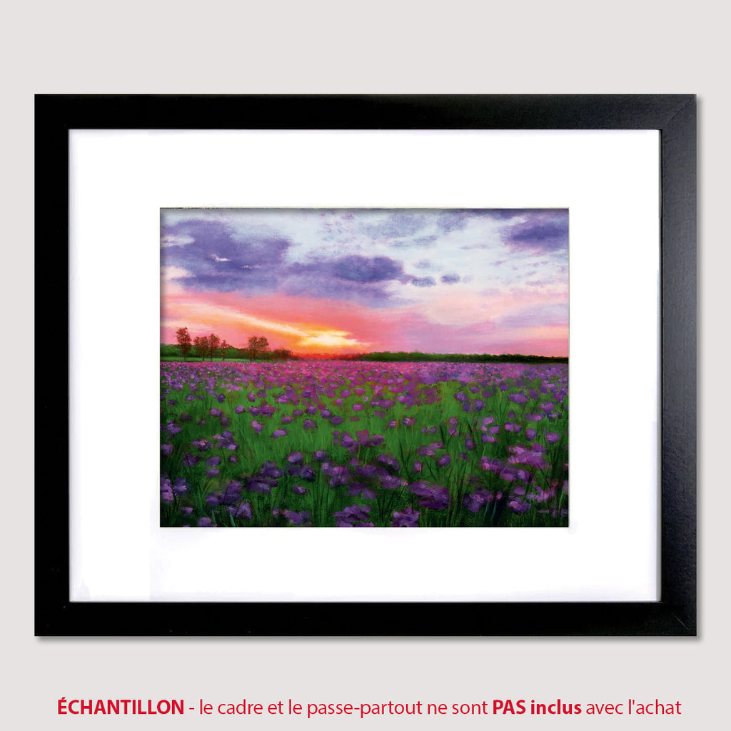 2025-08 Août - LUEUR CRÉPUSCULE