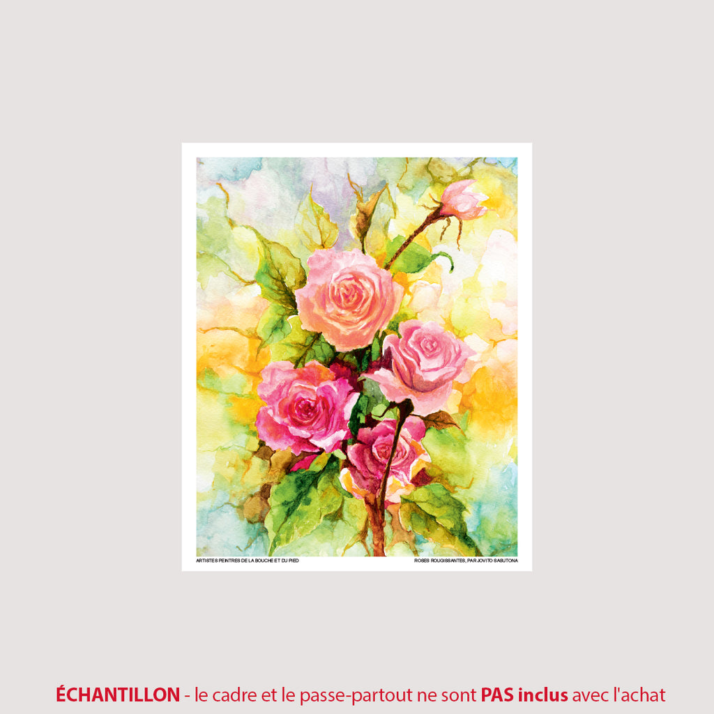 2026-02 Février - ROSES ROUGISSANTES