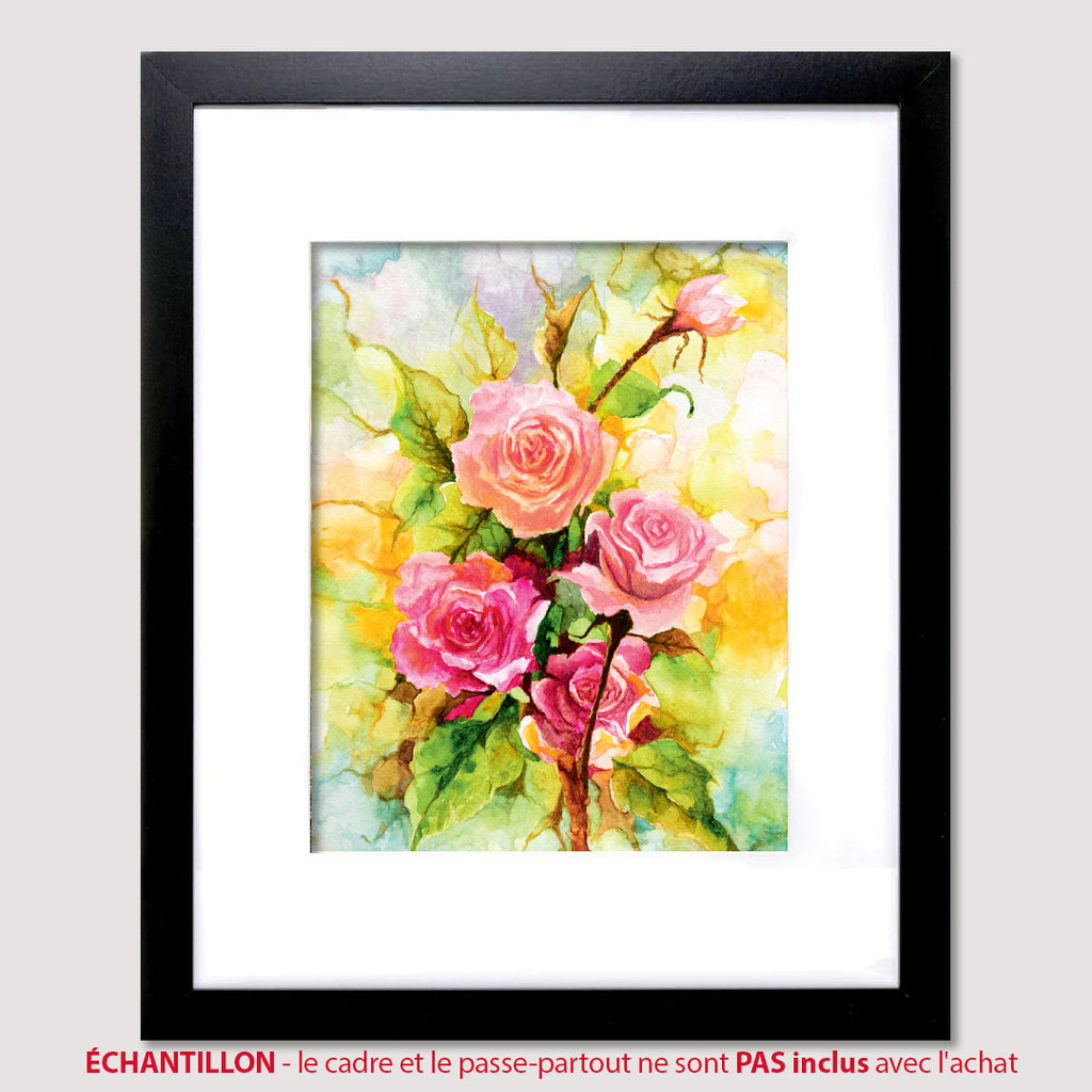 2026-02 Février - ROSES ROUGISSANTES