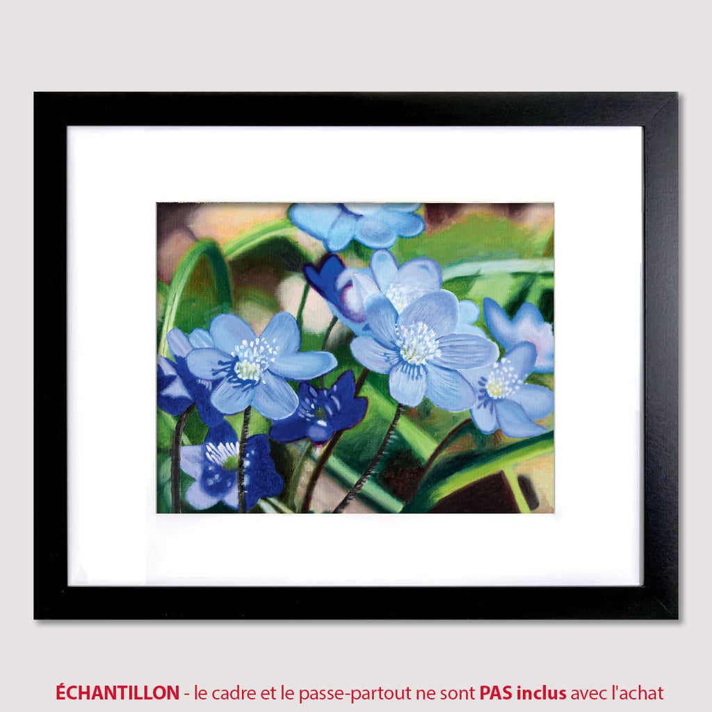 2026-05 Mai - FLEURS DE PRINTEMPS