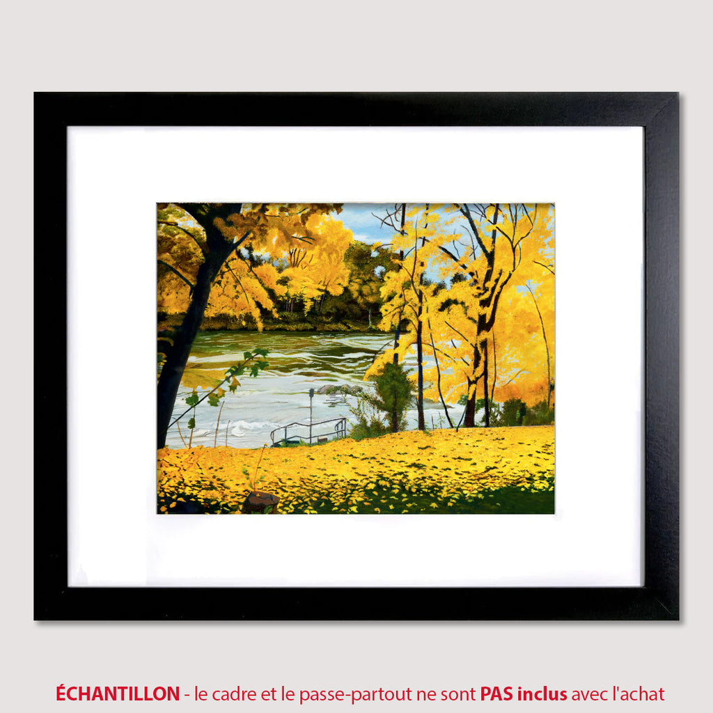 2026-10 Octobre - LAC WOODLAND