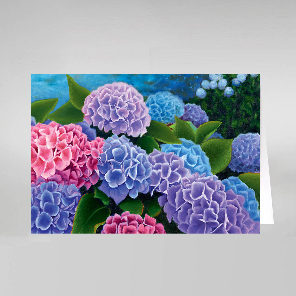Hortensias en fleurs #F505