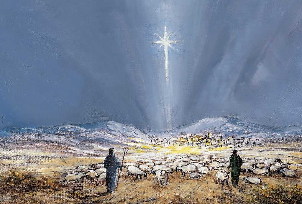 Christmas Card Assortment Box - 25 cards & envelopes<font color='red'>- Special Offer</font>