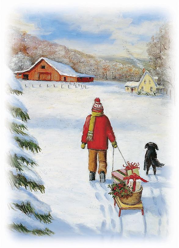 Christmas Card Assortment Box - 25 cards & envelopes<font color='red'>- Special Offer</font>